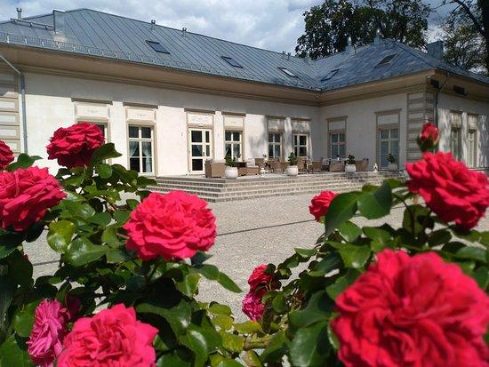 Restauracja Palac Dabrowka